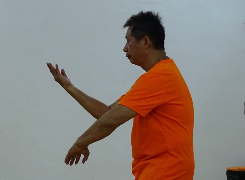 Kung Fu Academy di Sifu Mezzone Caserta Seminario di Weng Chun Tang Yik con GM Sunny So in Italia presso la scuola di arti marziali di wing chun e kung fu a Caserta (2)